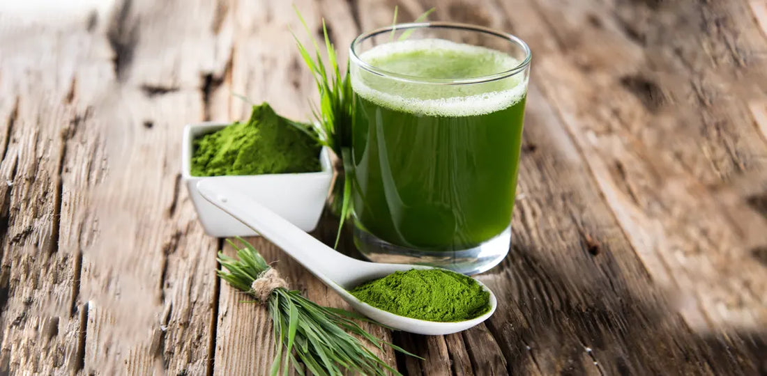 Take Greens Powder Every Day