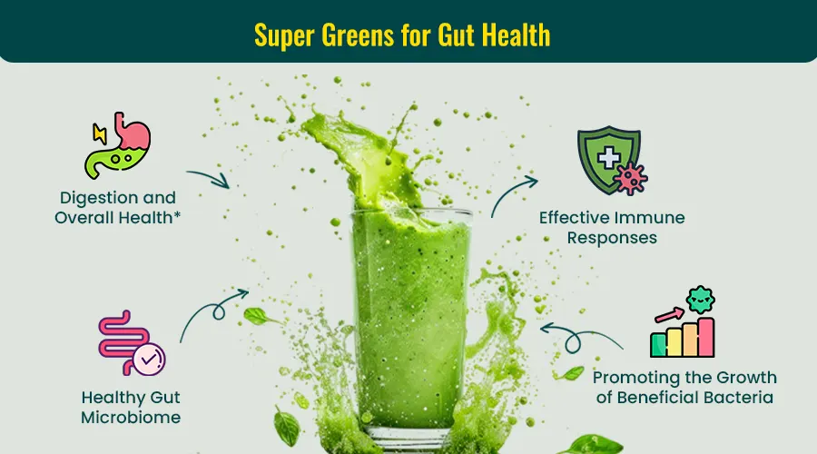 Super Greens Enhance Gut Health